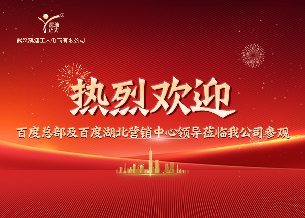 百度總部及湖北營銷中心領導蒞臨我司，共繪合作新藍圖